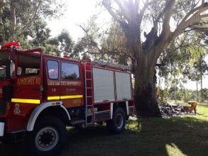 Bomberos: Incendio forestal en Colonia Suiza