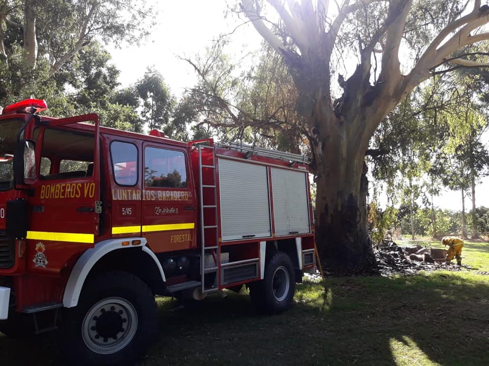 Bomberos: Incendio forestal en Colonia Suiza