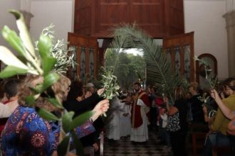 Este domingo la comunidad Católica Celebro Domingo de Ramos