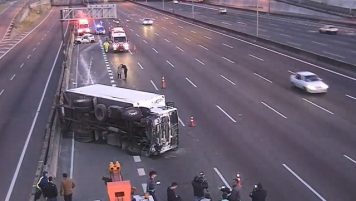 Un camión con 6 mil kilos de carne volcó en la Panamericana