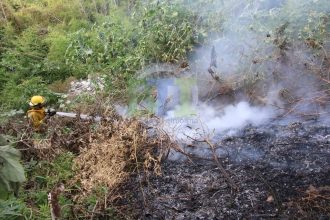 Bomberos: Incendio forestal en la ladera de la barranca