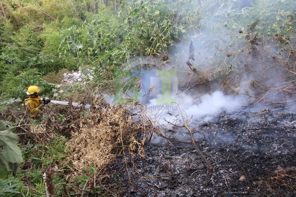 Bomberos: Incendio forestal en la ladera de la barranca