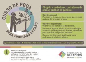 Curso de poda para arbolado urbano