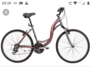 Policiales: Roban bicicleta en una vivienda