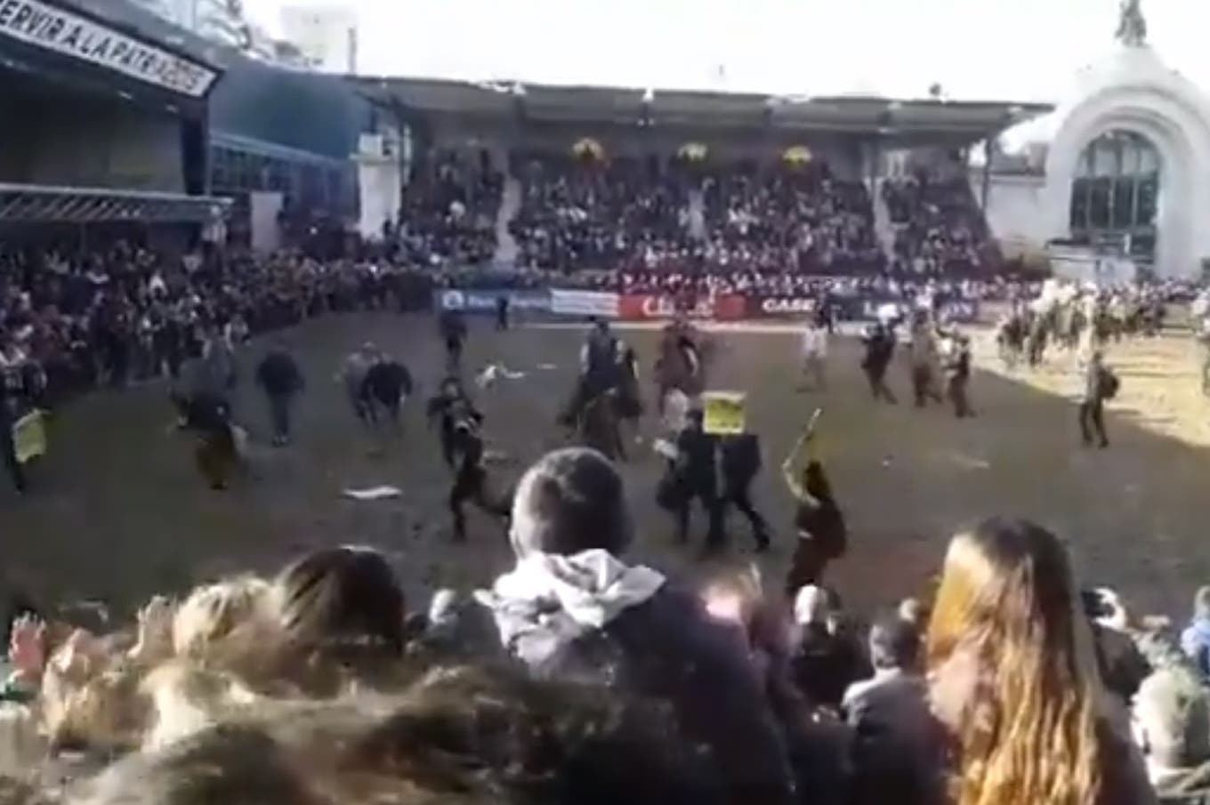 Veganos irrumpieron en la pista de La Rural y los gauchos los corrieron con caballos y a rebencazos