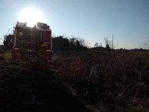 Bomberos: Incendio forestal en el «Martillo»