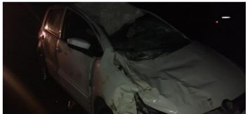 Accidente por caballos sueltos en San Pedro