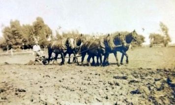 Del viejo arado a la labranza cero