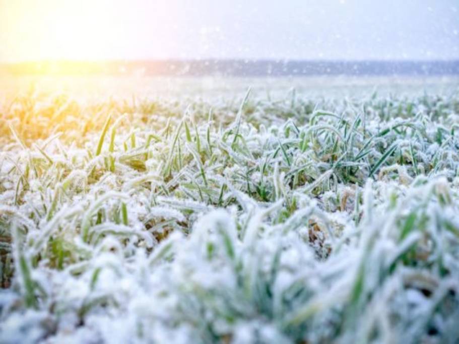 Podria nevar en la provincia: Intensa irrupción polar para comenzar julio