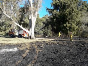 Bomberos: Incendio en un campo de Alsina