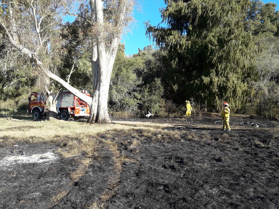 Bomberos: Incendio en un campo de Alsina