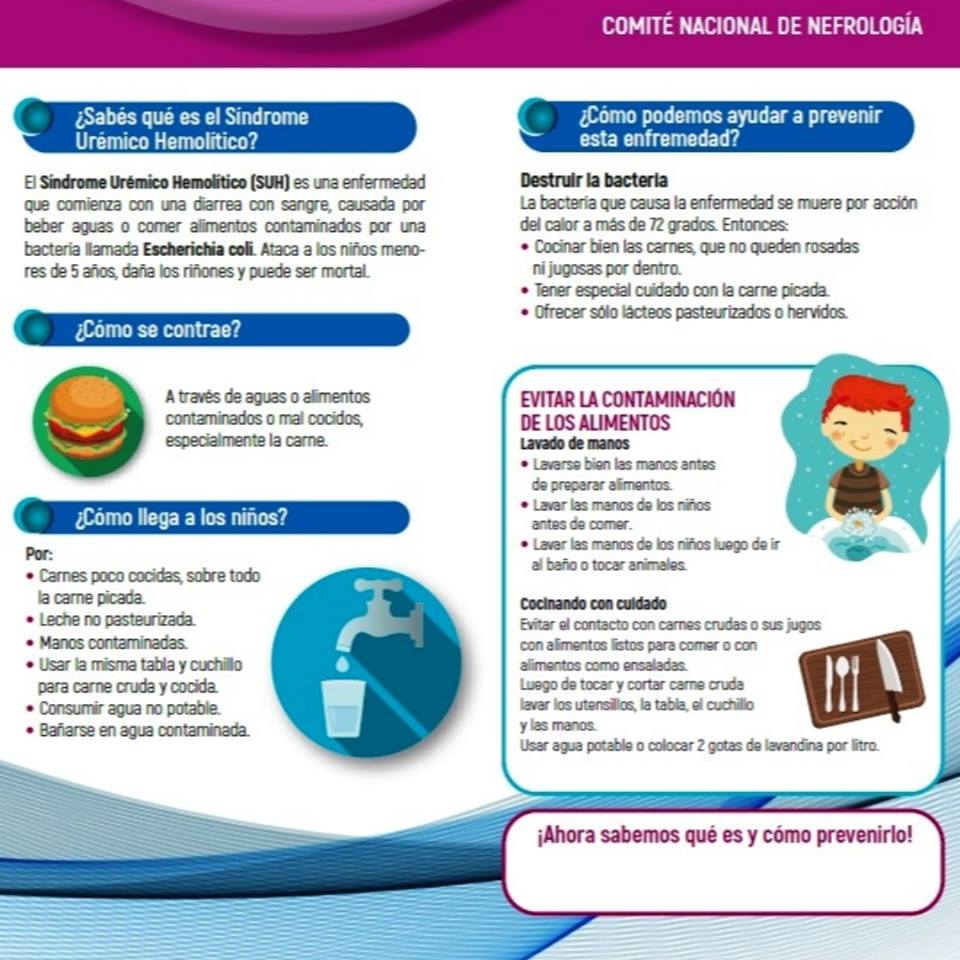 19 de Agosto. Día Nacional de la Lucha contra el Síndrome Urémico Hemolítico (SUH)