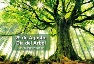Por qué se celebra el 29 de agosto el Día del árbol en la Argentina