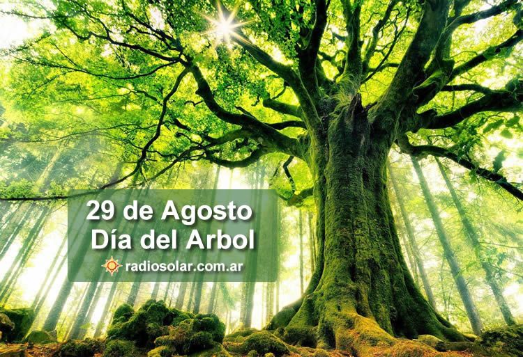 Por qué se celebra el 29 de agosto el Día del árbol en la Argentina