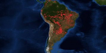 Las 5 cosas que se pueden hacer para ayudar a la selva amazónica
