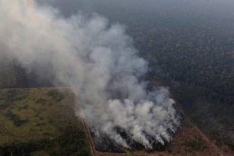 El humo del Amazonas ya está en la Argentina y este fin de semana llega a Buenos Aires