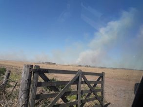 Bomberos: Incendio de más de 40 hectáreas de campo
