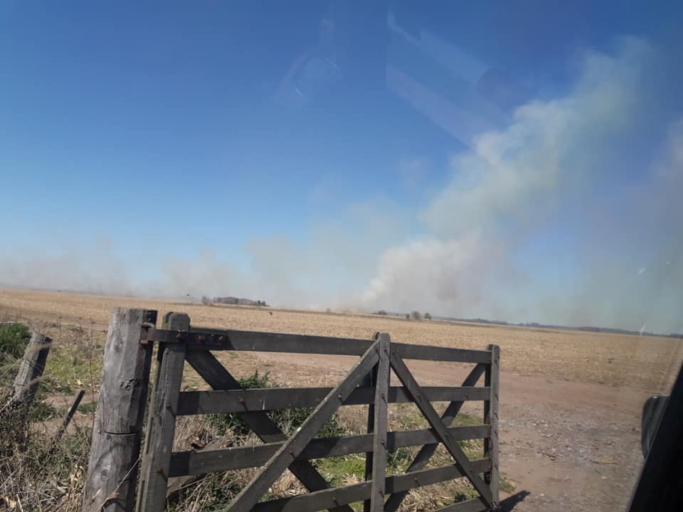 Bomberos: Incendio de más de 40 hectáreas de campo