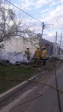 Bomberos: Otro incendio de pastos en un terreno baldío