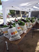 EcoHuerta: Venta de verduras en la Plaza Mitre