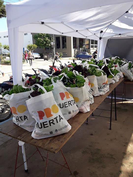 EcoHuerta: Venta de verduras en la Plaza Mitre
