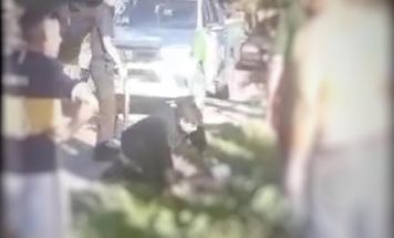 San Pedro: Asesinaron de un disparo en la cabeza a un joven de 17 años