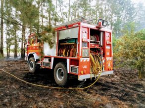 Bomberos: Incendio de un monte de naranjos camino a Portela