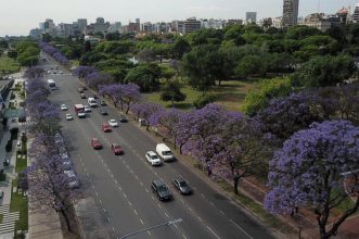 Un conocido de Baradero: ¿Quiénes plantaron los árboles de Buenos Aires?