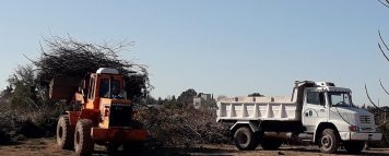 Reabrió el Punto Limpio de Ramas y Restos de Poda