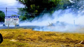 Bomberos: Incendio forestal en Ruta Nº 41 y Roca