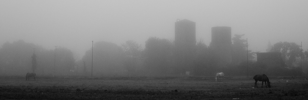Cuando los muros hablan: Baradero Ciudad del Encuentro