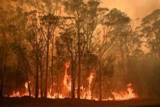 Por qué los incendios en Australia son tan devastadores y no se detienen: tres claves que explican la dramática situación