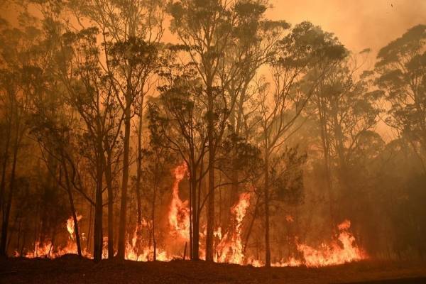 Por qué los incendios en Australia son tan devastadores y no se detienen: tres claves que explican la dramática situación