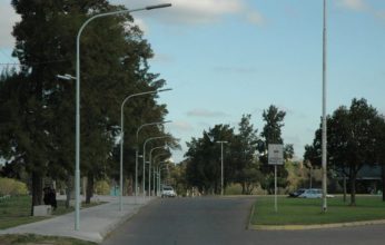 La insistencia en cuanto a incentivar la forestación tiene asidero