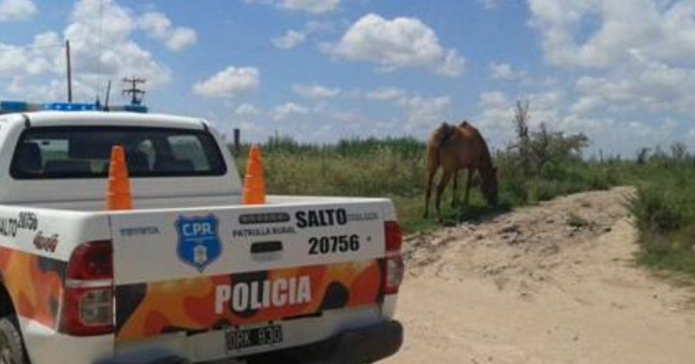 Un baraderense detenido y otro prófugo: Robo de herramientas en un campo de Ruta 31