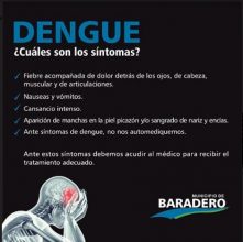 ¡Todos podemos prevenir el dengue!