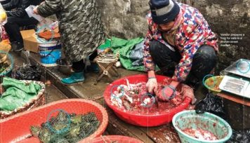 Los mercados chinos repletos de fauna silvestre son un hervidero de nuevos virus