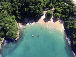 Paraíso tropical perdido – por Hugo Pezzini