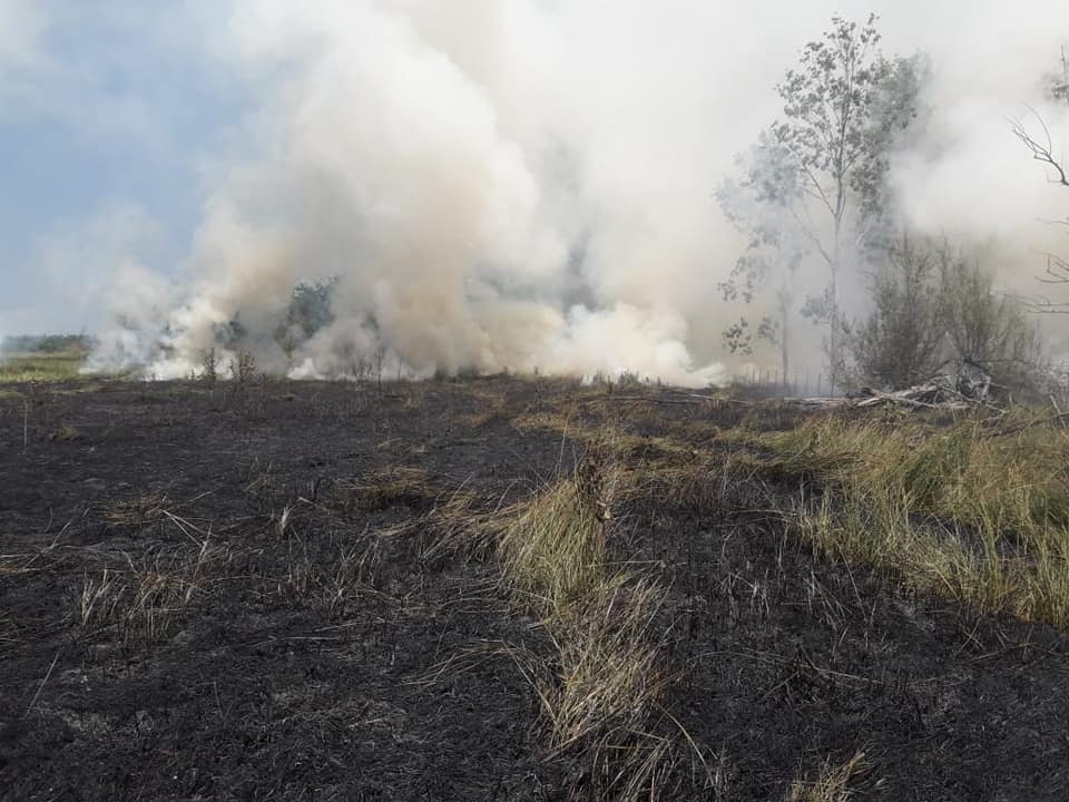 Bomberos El incendio forestal fue controlado