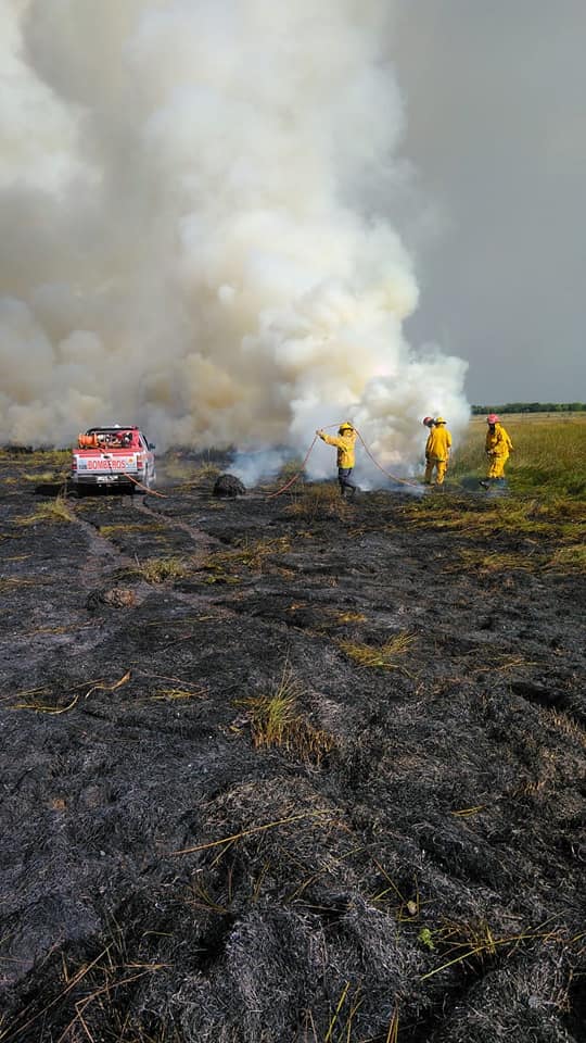 Bomberos: Incendio forestal de gran magnitud