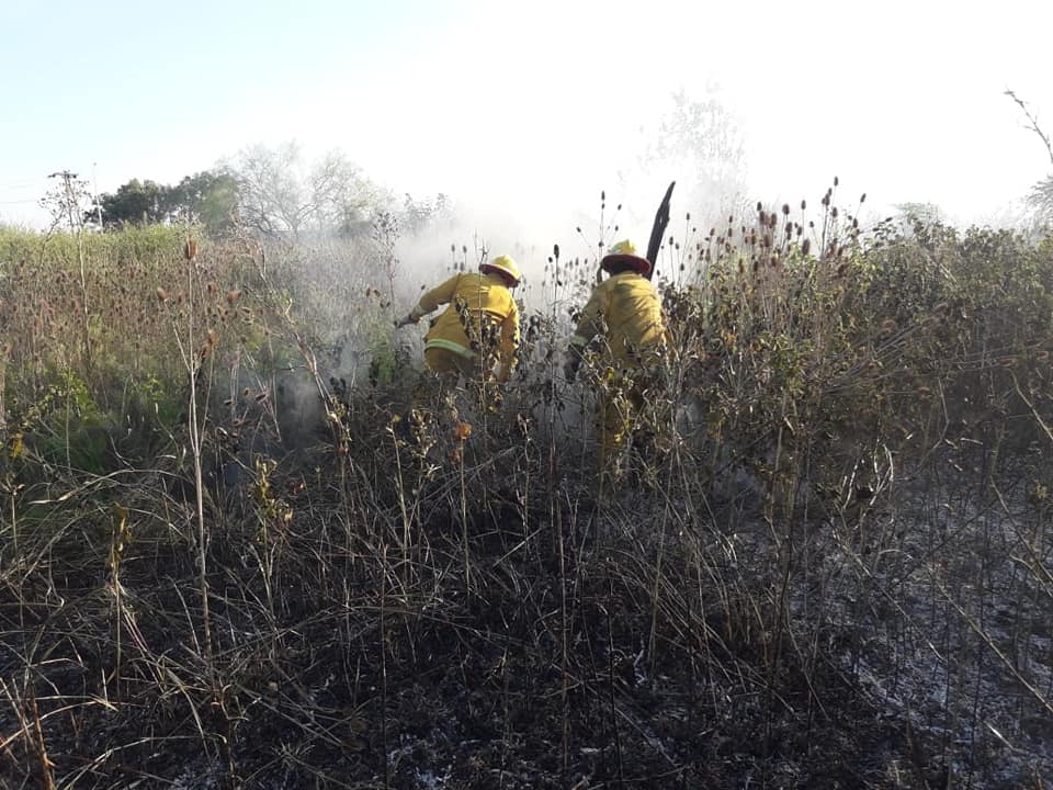 Bomberos: Incendio de pastizales en el ex complejo Migliozzi