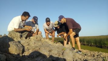 Descubren restos de una playa marina de hace 5 mil años