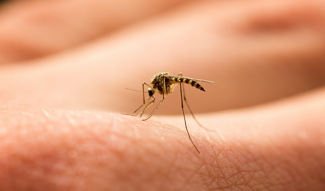 Dengue: Hay un caso sospechoso en la clínica privada