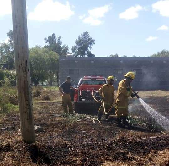 Bomberos: Incendio de pastos