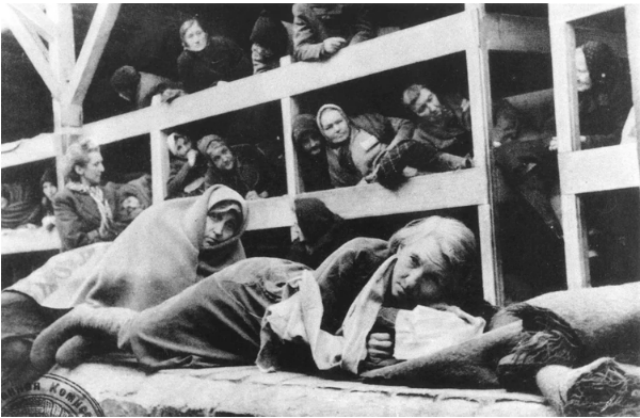 Los periodistas que mostraron el horror: cómo el mundo descubrió los campos de exterminio nazis