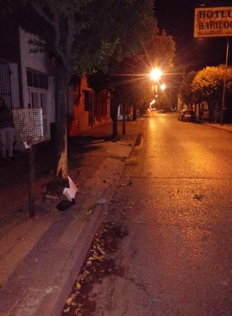 Extraño accidente: Una camioneta le pegó a una planta y desapareció