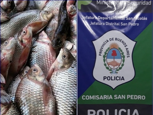 San Pedro: Decomisan pescado que era transportado en un auto particular