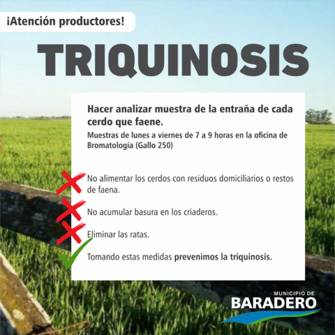 La oficina de bromatología permanece abierta para control sanitario de alimentos y análisis de triquinosis