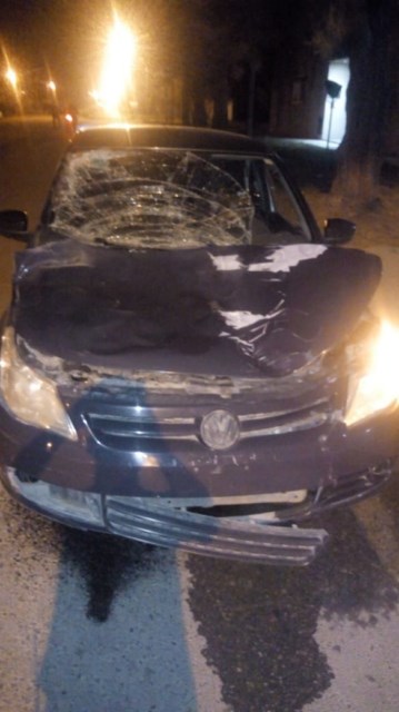 Policiales: Un accidente con caballos sueltos en calle Roca