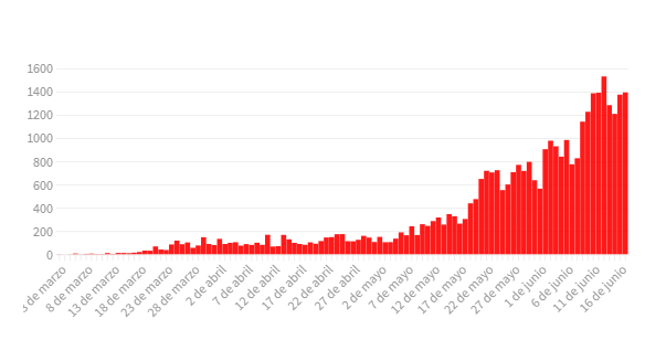 Coronavirus en Argentina: se registraron 35 muertes y 1.393 contagios en las últimas 24 horas